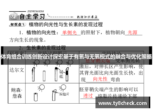 体育组合训练创新设计探索基于有氧与无氧模式的融合与优化策略